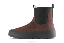 Icebug Dala Biosole Women Espresso Footwear 6HR439